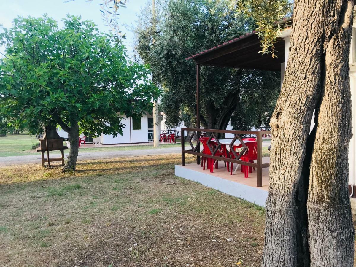 Hotel Funno Delle Noci Peschici Exterior foto